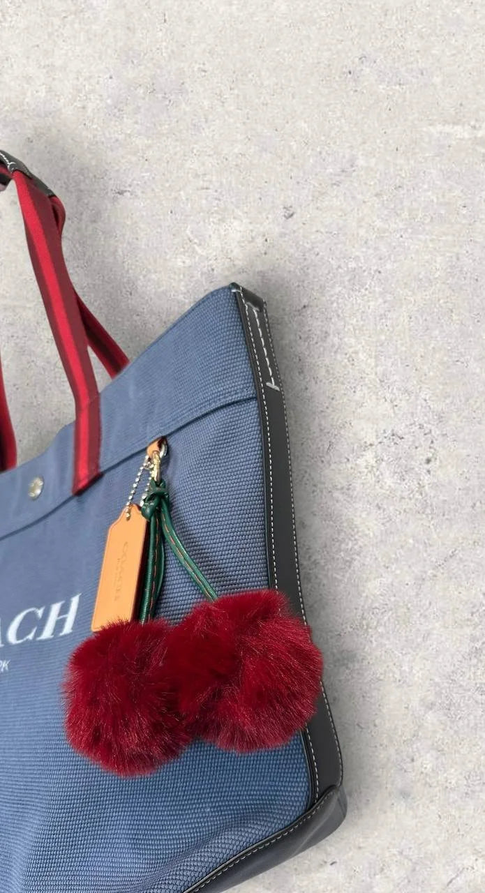 Authentic Coach Canvas Tote Bag