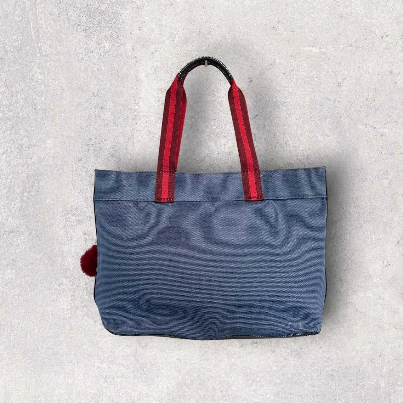 Authentic Coach Canvas Tote Bag